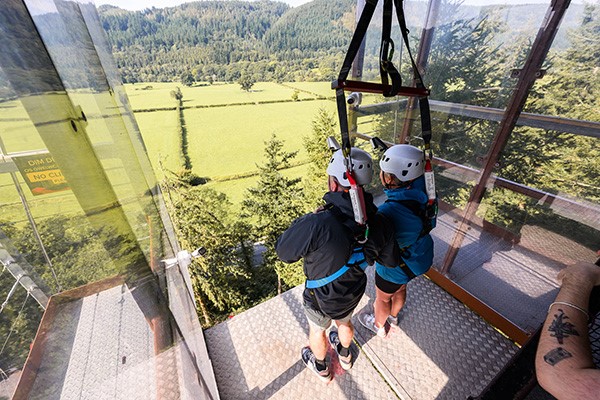 Forest Coaster and Plummet for One at Zip World picture