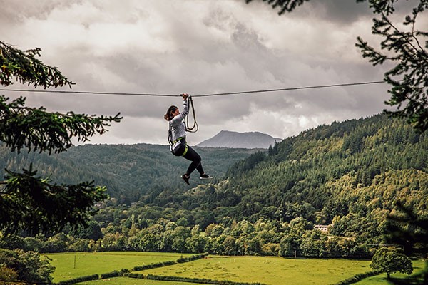 Zip Safari at Zip World for One from Buyagift