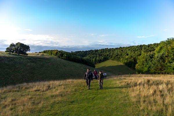 Ramble in The South Downs with a Cream Tea for Two