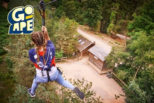 Tree Top Challenge For One Adult At Go Ape From Buyagift