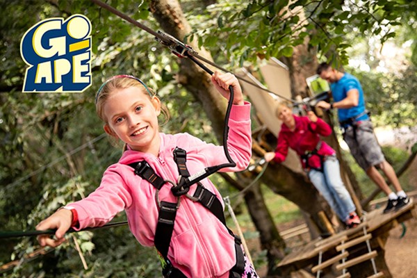 Treetop Adventure Plus For Two At Go Ape From Buyagift