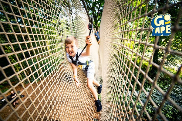 Treetop Adventure Plus for Two at Go Ape picture