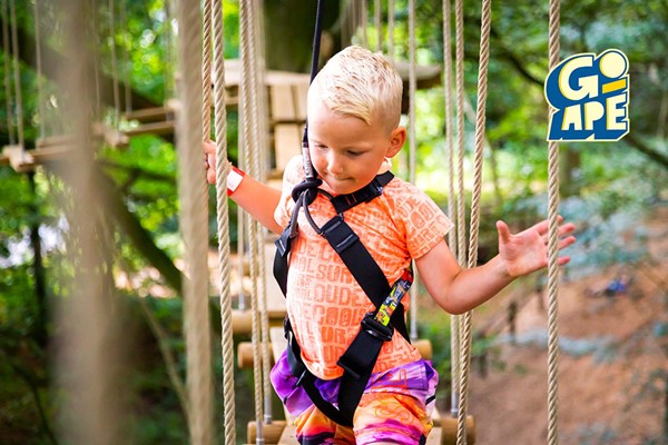 Treetop Adventure Plus for One at Go Ape picture