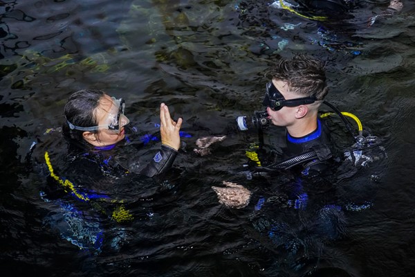 The Bear Grylls Adventure Shark Dive Experience for Two - Special Offer