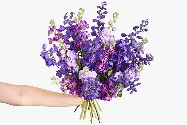 Mother's Day gifts for collection picture