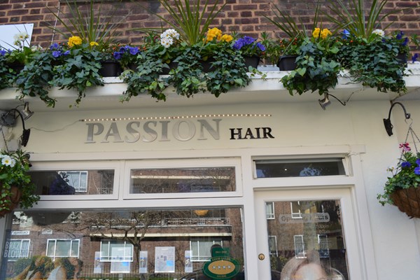 Manicure and Blow Dry at Passion Hair