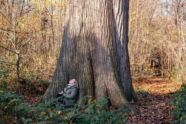 Four Hour Forest Bathing for One