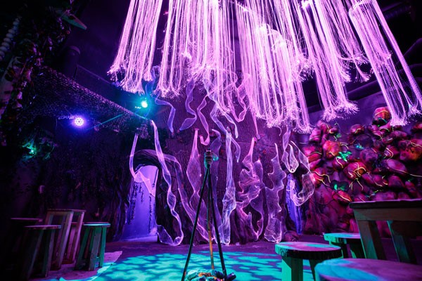 New & Trending collection picture