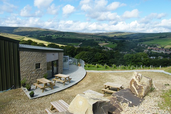 Holmfirth vineyard clearance