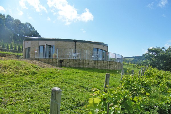 Holmfirth Vineyard Tour with Lunch and Tasting for Two in Yorkshire Buyagift