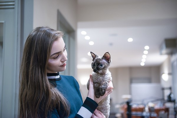 A Purrfect Way To Spend My Birthday: Afternoon Tea at Bedford Cat Cafe