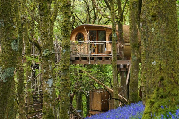 Two Night Family Treehouse Escape