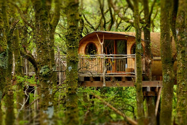 Two Night Treehouse Escape for Two