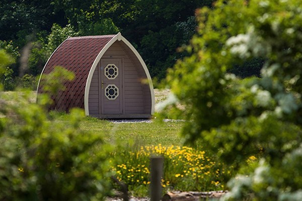 One Night Glamping at Stanley Villa Farm Camping