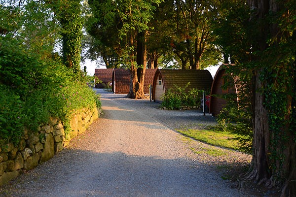 Row of glamping pods surrounded by green trees and sun beaming through