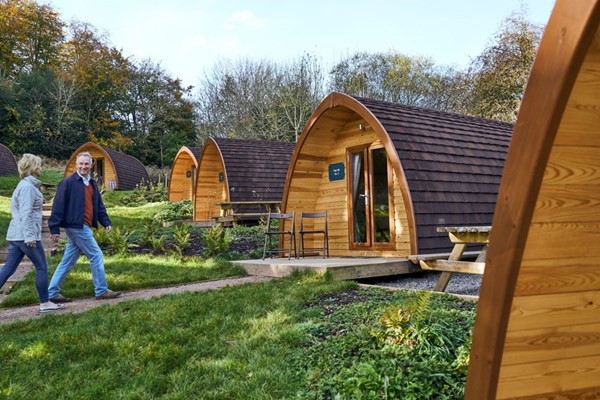 One Night Mega Pod Glamping Break for Four at Whitemead Forest Park