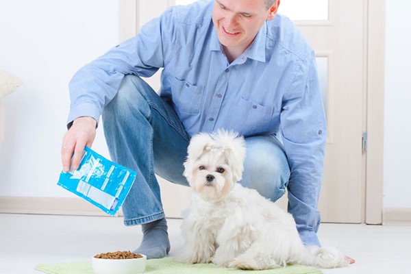 Online Pet Nutrition Diploma Course for One  