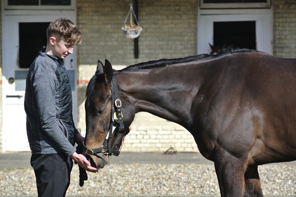 Behind the Scenes Tour of Top-Class Horse Racing Yard with Darryll Holland for Two