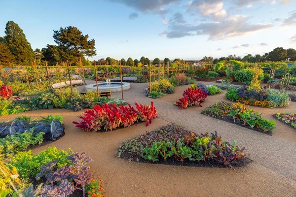 Visit to RHS Garden Wisley for Two