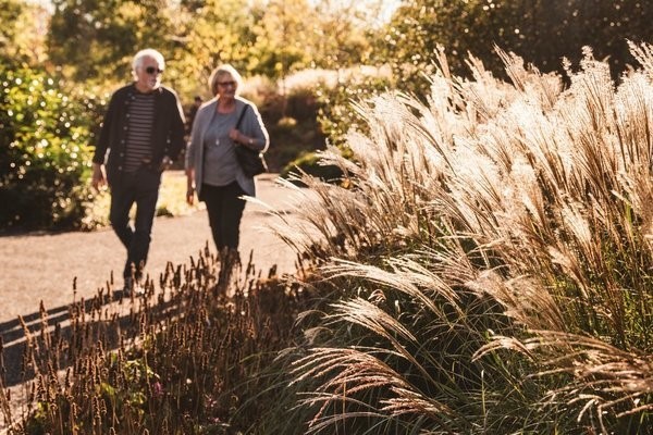 Visit to RHS Garden Hyde Hall for Two