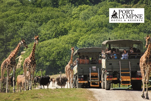 Port Lympne Reserve Entrance with Truck Safari and Afternoon Tea for Two picture