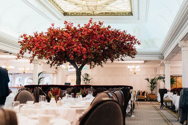 Buckingham Palace State Rooms and Cream Tea for Two at Harrods Tea ...