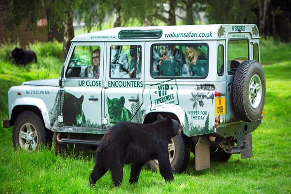 One Hour Carnivore Up Close Encounter for Two with Admission to Woburn Safari Park