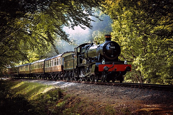 Adult Rover Train Ticket from Ecclesbourne Valley Railway  - Special Offer