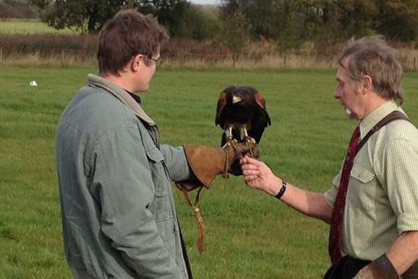 Three Hour Birds of Prey Experience for One – Special Offer