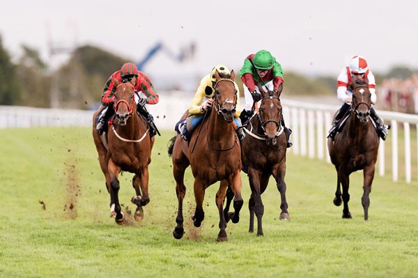 Jockey’s racing on horses at York Racecourse in York