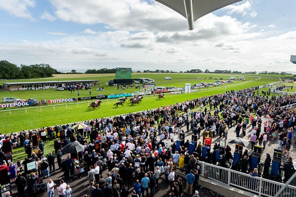 Buy Lingfield Raceday and Three Course Meal with Wine for Two at Prezzo Buy Lingfield Raceday and Three Course Meal with Wine for Two at Prezzo