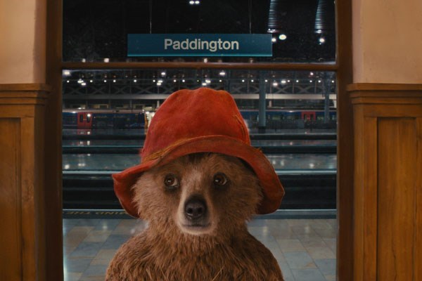 extra large paddington bear