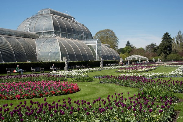 Visit to Kew Gardens and Palace for One