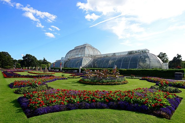 Visit to Kew Gardens and Palace for Two