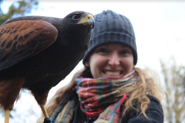 2 for 1 Hawk Walk for Two at Hawksflight Falconry