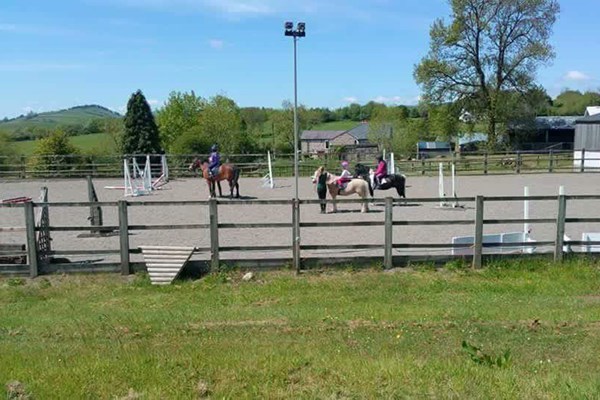 Horse Riding Lesson At Oswestry Equestrian Centre From Buyagift