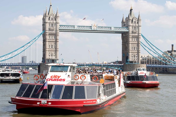 Visit to Westminster Abbey and Thames Cruise Rover Pass for Two from ...