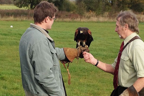 Three Hour Birds of Prey Day for Two