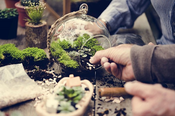 Terrarium Workshop for Two at Porto's Flowers