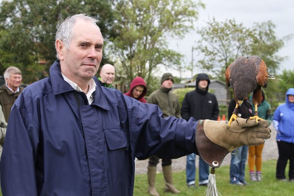 Bird of Prey Falconry Experience for Two