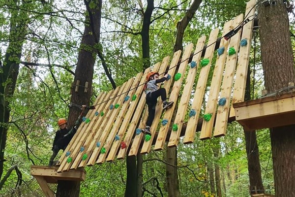 Tree Top Trials Entry to Explorer Course for One Adult and One Child