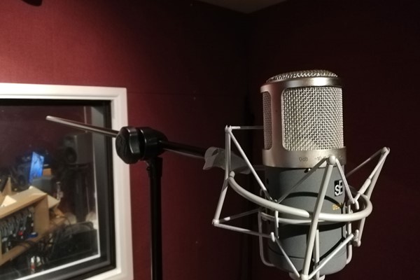 Professional Voice Recording Of One Song For Two Adults And Two
