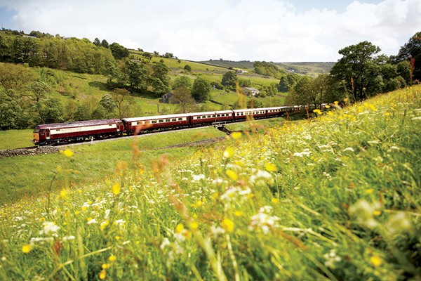 Full Day Excursion with Brunch and Bellinis for One on the Northern Belle