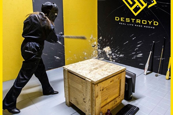 Destroy'd Rage Room for Two