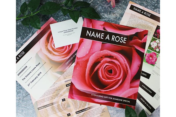 Personalised Name a Rose Gift from Buyagift