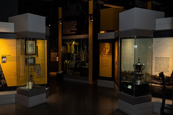 Molineux Stadium Tour for One with Souvenir Guide at Wolves Football Club picture