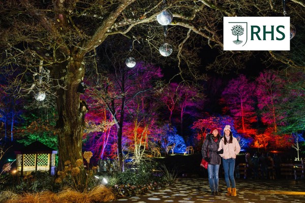 RHS Glow at Harlow Carr for Two Adults picture