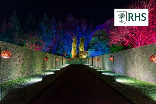 RHS Glow at Rosemoor Gardens for Two Adults picture