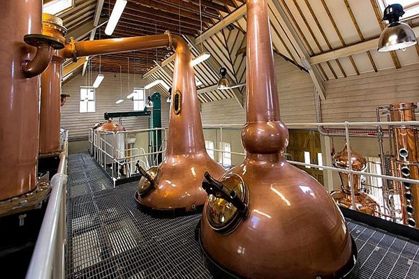 gin distillery tour cotswolds