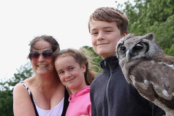 The Owl Family Experience for Four at the UK Owl and Raptor Centre